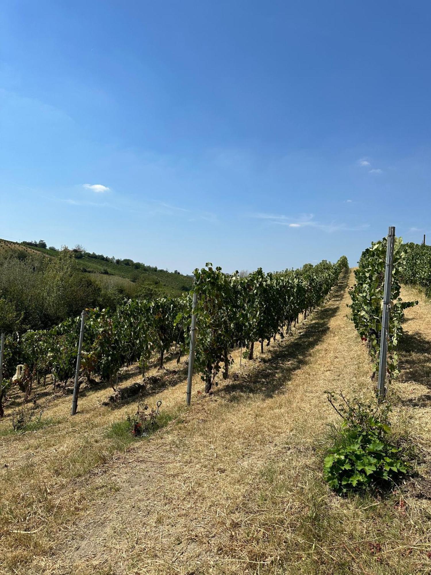 Cadgal - Tenuta La Cova Calamandrana Bagian luar foto